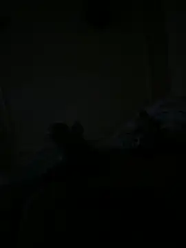Timmy T online show from 05/15/26, 01:12