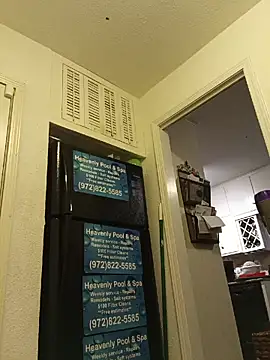 missbellastar online show from 06/01/26, 10:28
