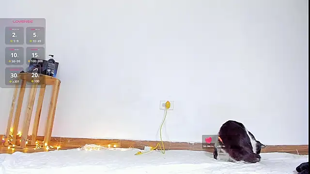 Snapshot of abilX chatting on 01/24/25, 01:57 abilX online show from 01/24/25, 01:57