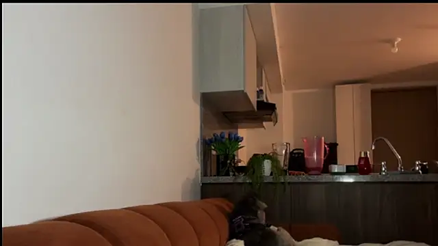 niah 11 online show from 05/19/26, 11:33