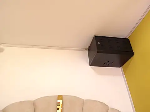 Gingerblis online show from 06/11/26, 09:57