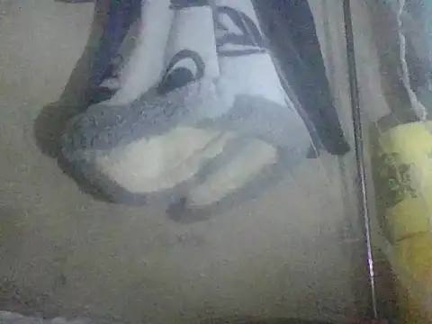 prettybelly online show from 05/26/26, 03:35