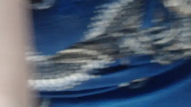 MaevenNectar online show from 05/20/26, 05:13