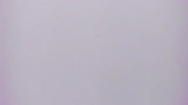 velvet girll online show from 06/12/26, 07:02