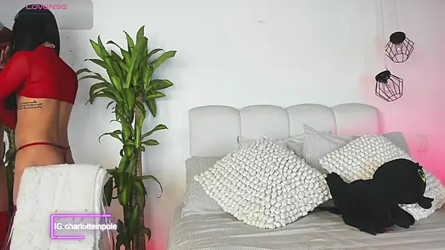 charlotteinpool online show from 06/23/26, 05:49