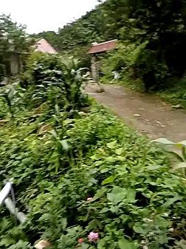 Elfledaa online show from 06/20/26, 09:56