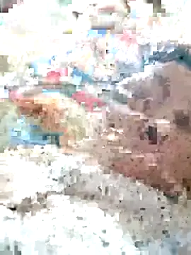 Orio-baby online show from 05/31/26, 08:10
