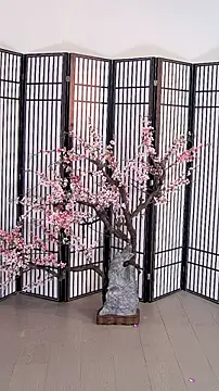 ouyanyan online show from 05/26/26, 12:12