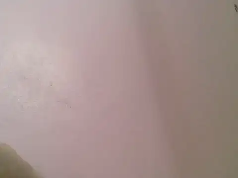 cute bee online show from 06/09/26, 05:35