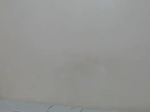 lewinne online show from 07/07/26, 09:08