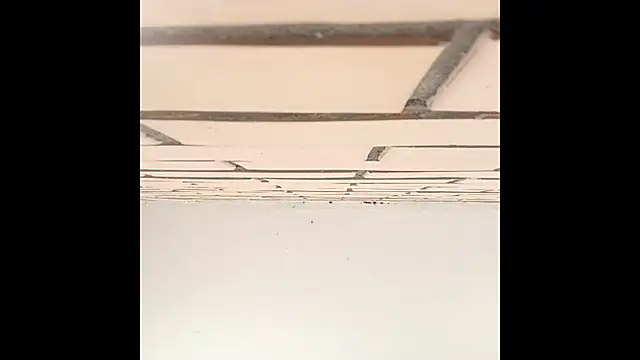 IronicBuckle online show from 07/02/26, 03:23