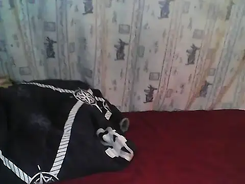 Buchi sexylady online show from 06/19/26, 07:17
