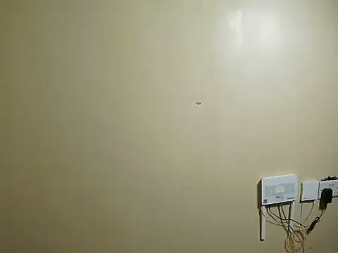 Cute JoJo online show from 07/11/26, 02:42