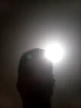 bxbicho20 online show from 06/28/26, 03:34