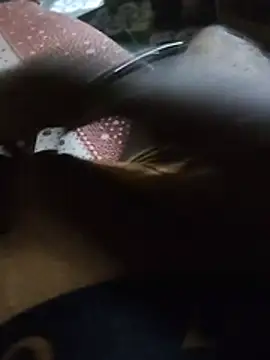 UltraXerotica online show from 07/07/26, 01:41
