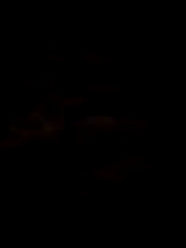luna2977 online show from 06/30/26, 01:56