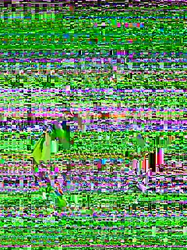 vanesssa rose online show from 07/04/26, 11:11