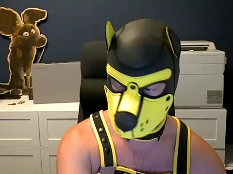 WildyLynx online show from 07/04/26, 10:38