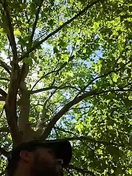Mangavg92 online show from 07/13/26, 12:52