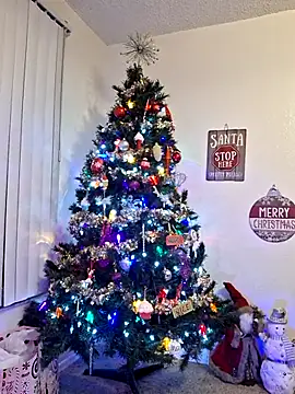 Snapshot of XxMs_StarzxX chatting on 12/21/25, 11:45 XxMs StarzxX online show from 12/21/25, 11:45