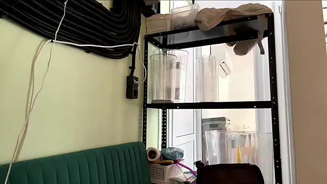 GingerEtsitty online show from 07/24/26, 08:01
