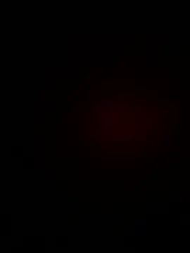 Hardestybackwoods online show from 08/02/26, 05:28