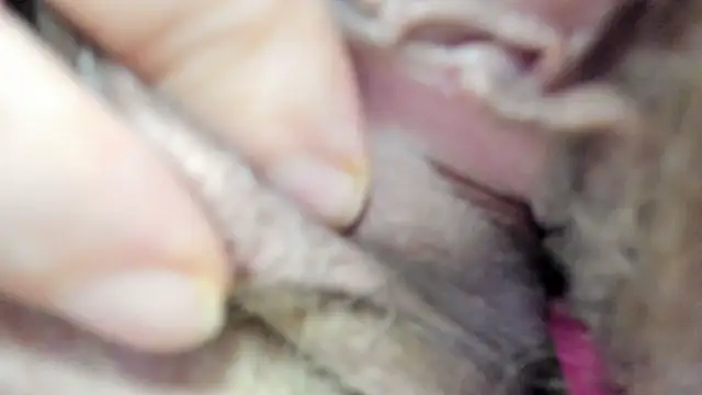 vitabox online show from 09/21/25, 06:20