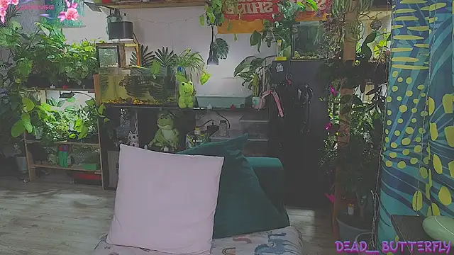 Dead Butterfly online show from 02/16/25, 04:20