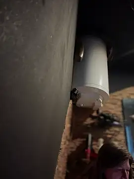 Natali UA online show from 01/19/26, 07:45