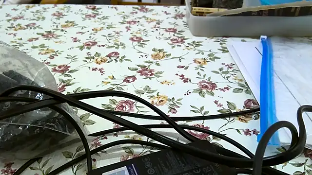 Bigjacky online show from 09/09/25, 04:39