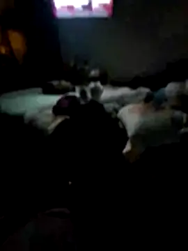 Snapshot of juliopantoja chatting on 02/15/26, 05:04 juliopantoja online show from 02/15/26, 05:04