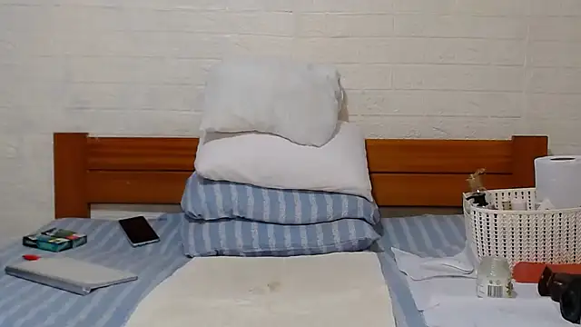 awild kitten online show from 12/15/24, 11:45