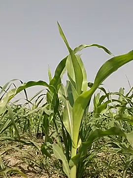 ThethunderPo online show from 03/02/26, 07:37