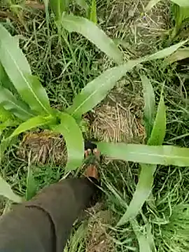 ThethunderPo online show from 03/15/26, 04:29