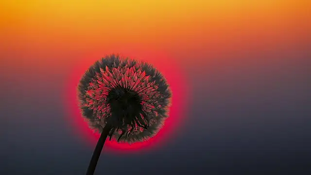 Sunning2 online show from 09/16/25, 09:43