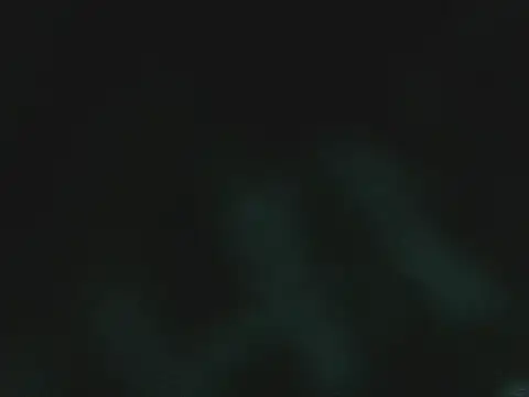 Snapshot of lonelycock33 chatting on 11/15/25, 09:21 lonelycock33 online show from 11/15/25, 09:21