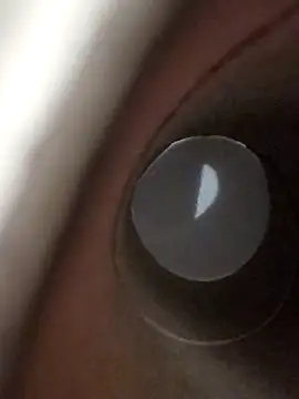 domjoab online show from 01/17/26, 11:41