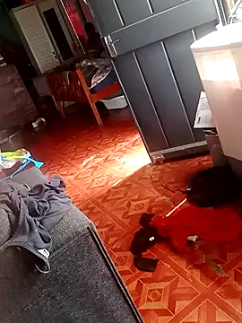 2soyte online show from 09/26/25, 08:29