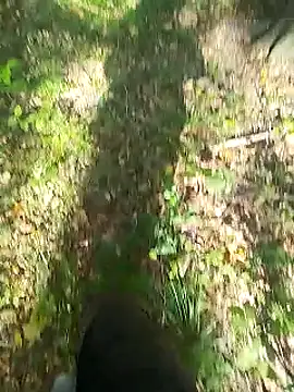 Snapshot of sarpe4 chatting on 09/14/25, 08:02 sarpe4 online show from 09/14/25, 08:02