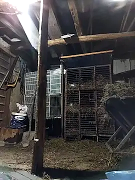 sarpe4 online show from 03/02/26, 04:58