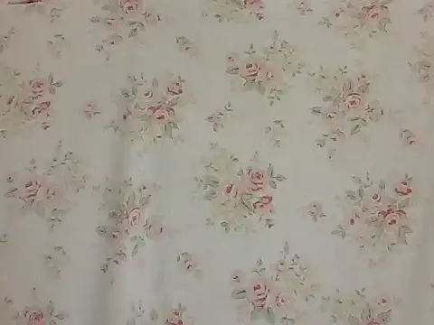 Snapshot of sarathchandru chatting on 02/02/26, 11:03 sarathchandru online show from 02/02/26, 11:03