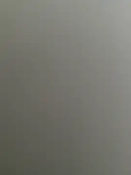 Bull8 online show from 02/26/25, 09:32