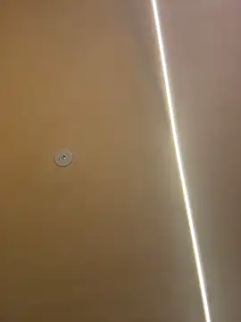 Gatitacarlita online show from 11/26/25, 10:27