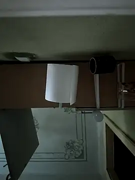 Snapshot of Dimka132 chatting on 01/18/26, 09:24 Dimka132 online show from 01/18/26, 09:24