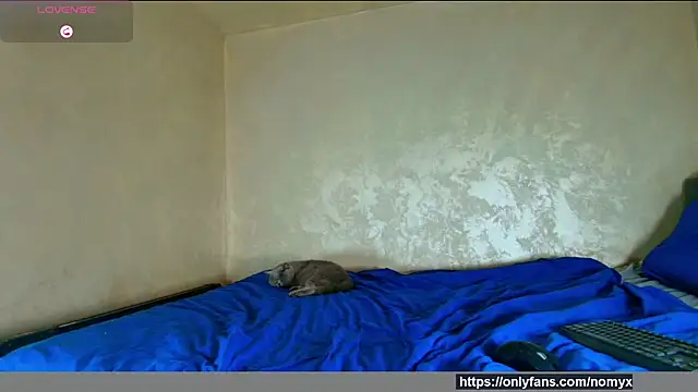 angeliquevany online show from 12/02/25, 06:58