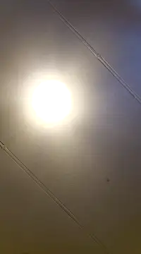 PinkTheHawk online show from 01/11/25, 10:07