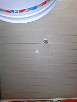 Toycockhot online show from 11/26/25, 07:37