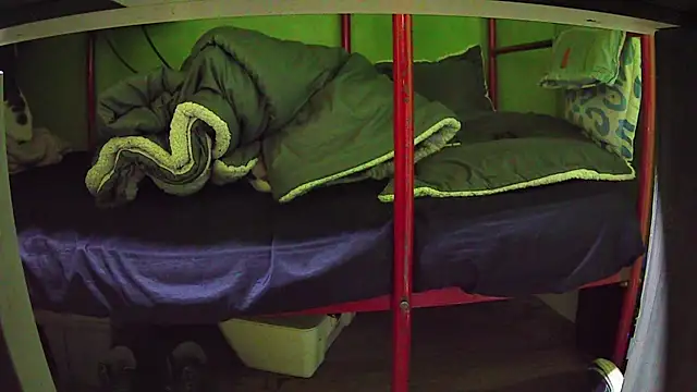 Walltaz online show from 03/24/26, 05:01