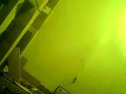 god23free online show from 02/23/25, 03:51