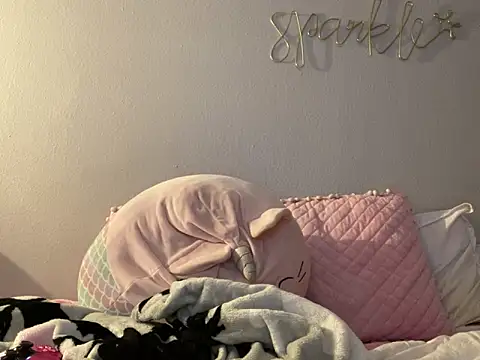 bunnypillow online show from 12/10/24, 04:24